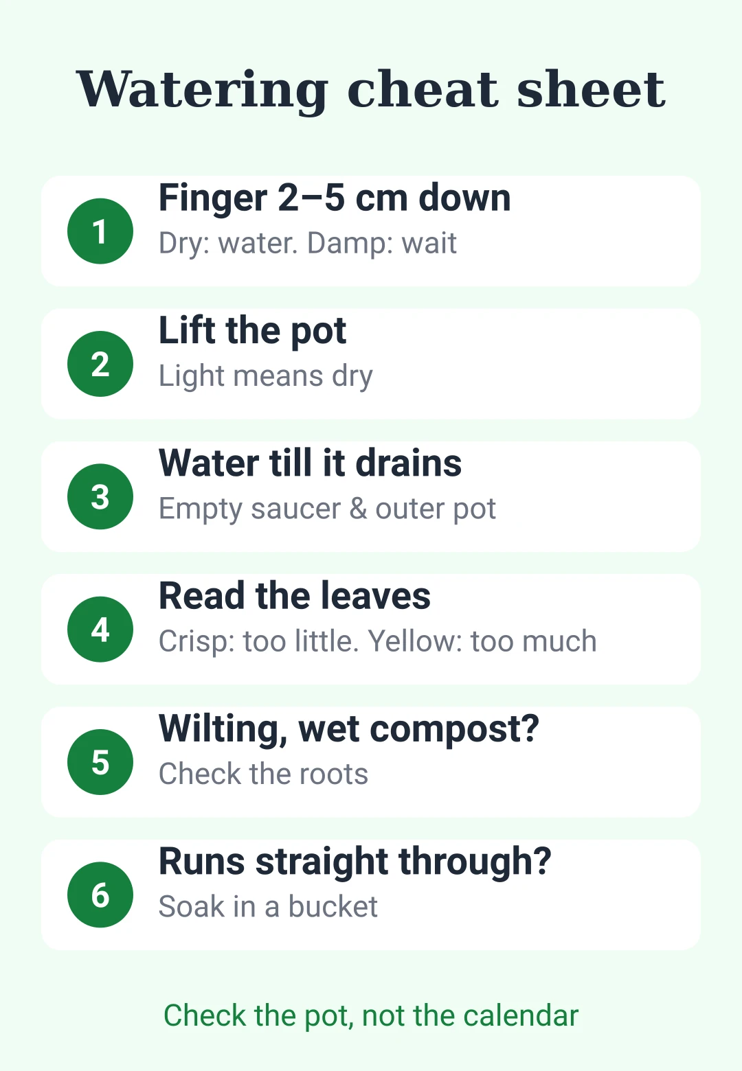 Cheat sheet card: finger test, lift the pot, water until it drains, empty saucers, and the signs of too much and too little water