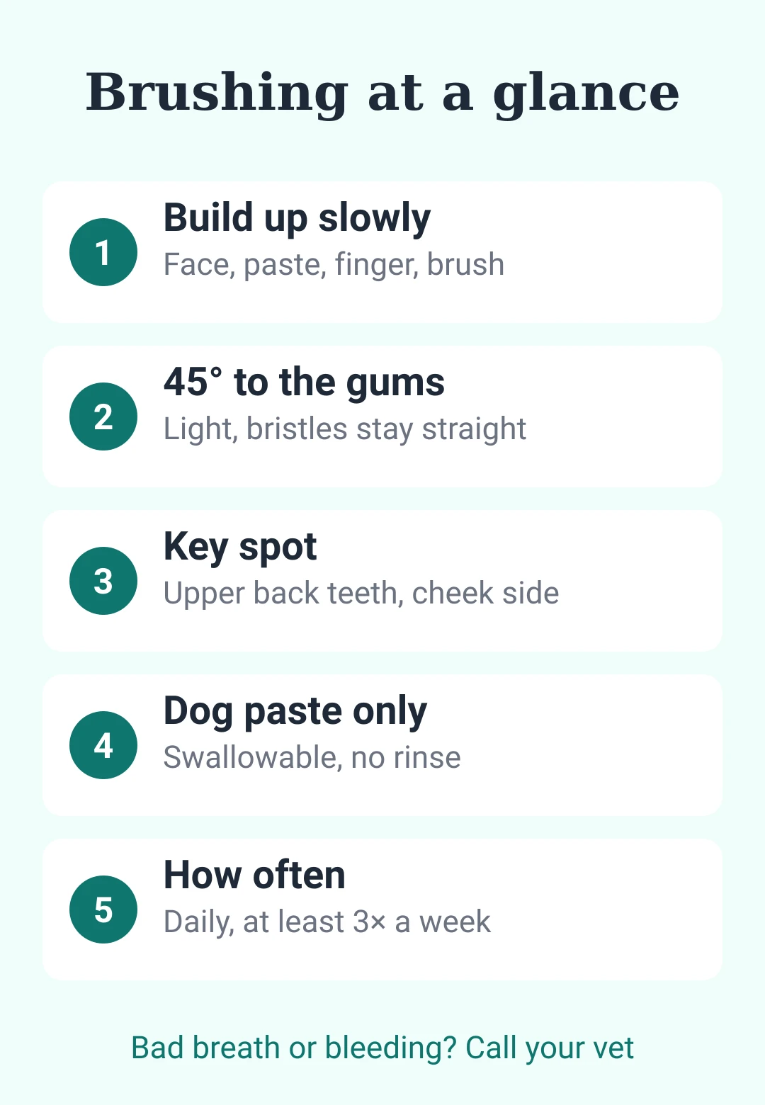 Cheat sheet card: how to brush your dog's teeth, steps, angle, key spot and how often